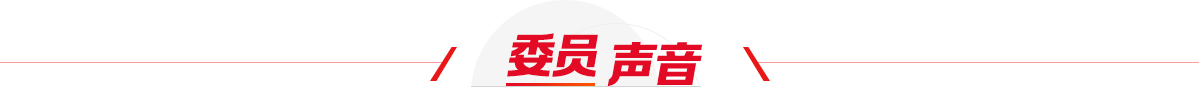 委员声音