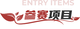 参赛项目