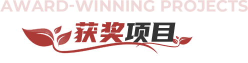 获奖项目