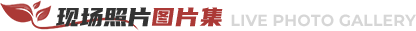 现场图片集