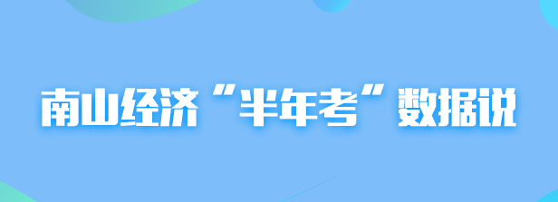 南山经济