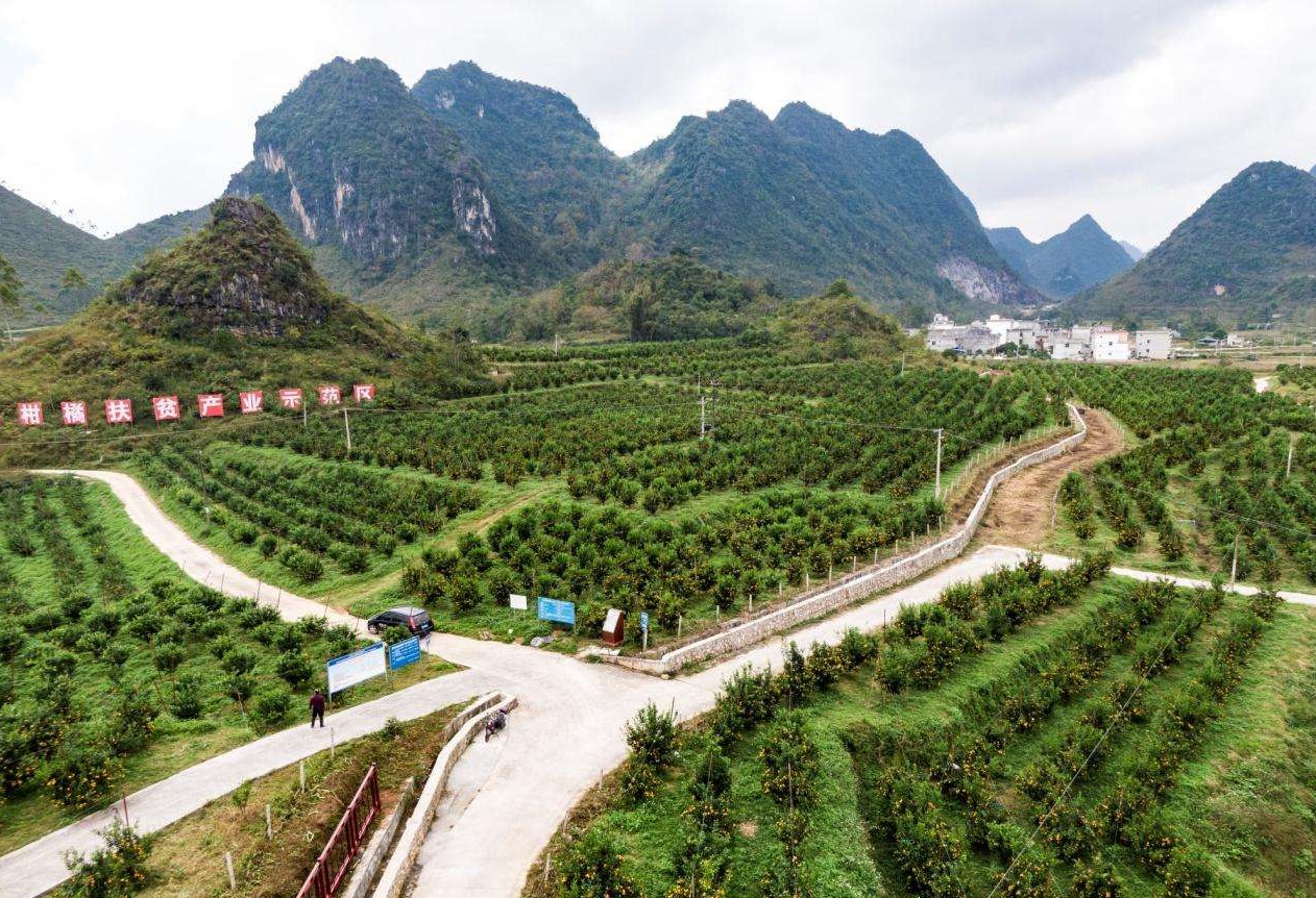真功夫里见实效 深圳南山打造脱贫攻坚基层样本
