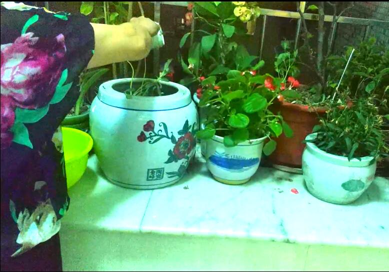 节水微课堂 洗手小妙招