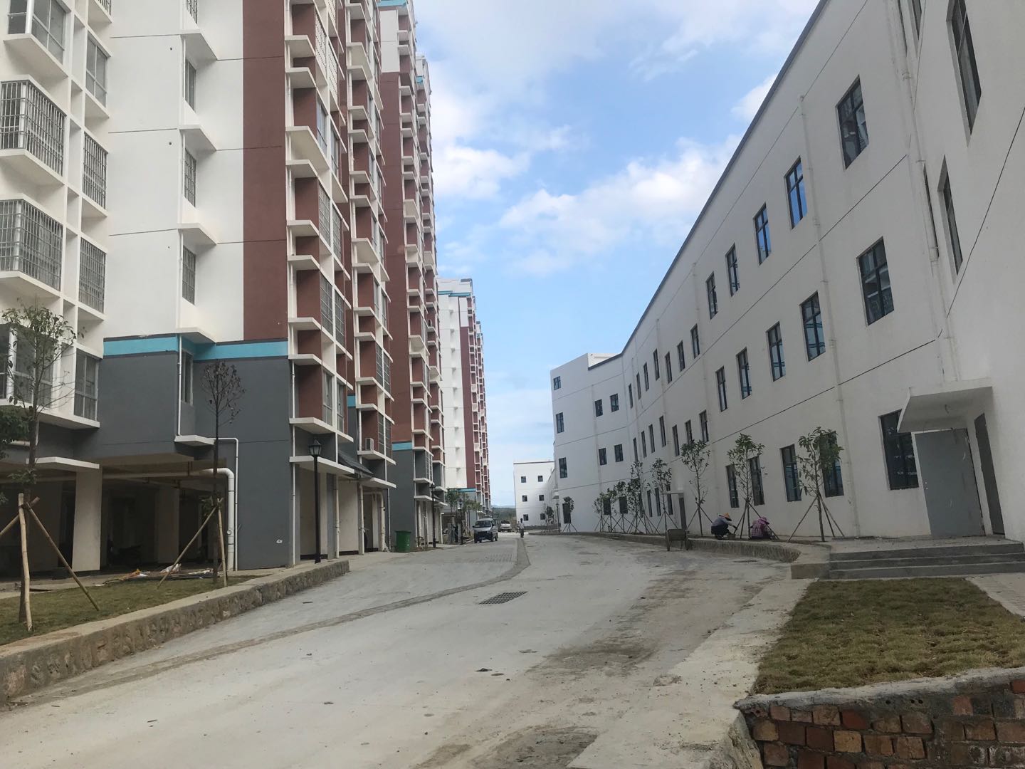 田阳县老乡家园易地搬迁安置点路网工程项目