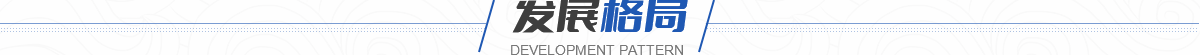 发展格局