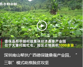 深圳南山帮扶广西德保建桑蚕产业园,“三联”模式助推脱贫攻坚