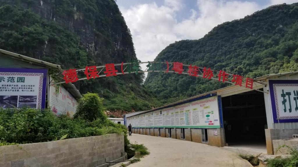 德保县(深圳)粤桂协作项目