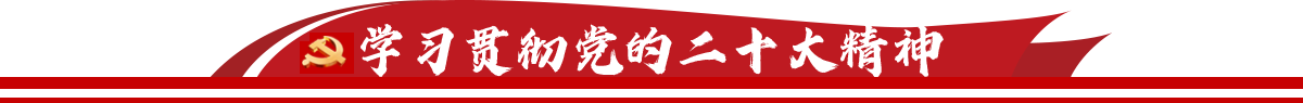 学习贯彻党的二十大精神