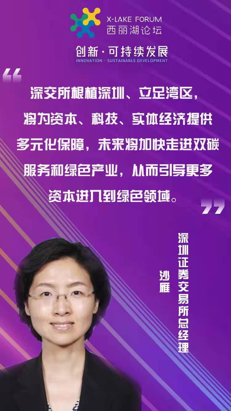 沙雁